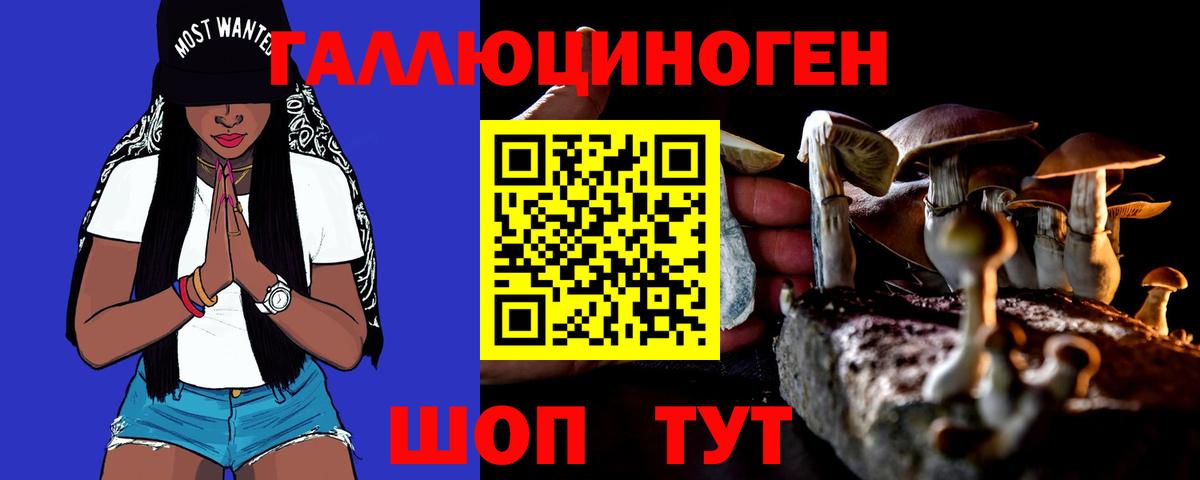 дарнет шоп  Галлюциногенные грибы Psilocybine cubensis  Вход с VPN  Лянтор 