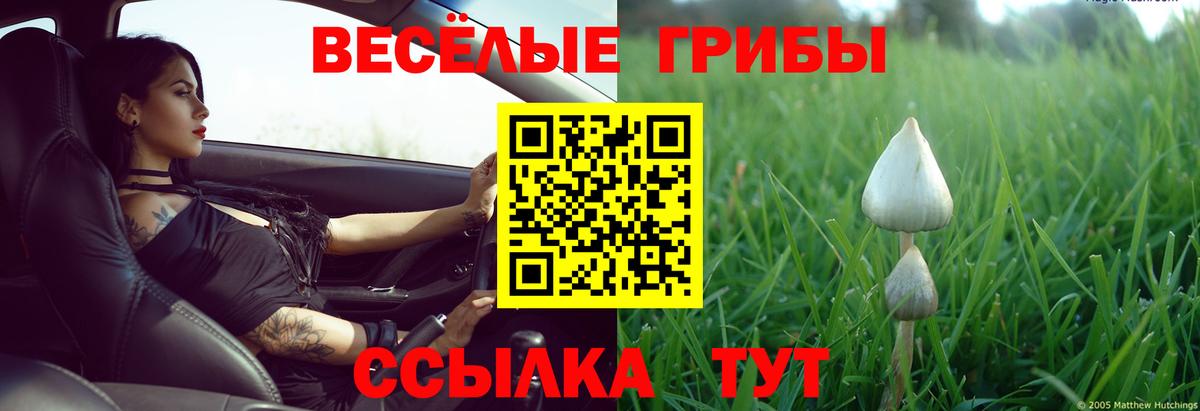 Псилоцибиновые грибы Cubensis Лянтор